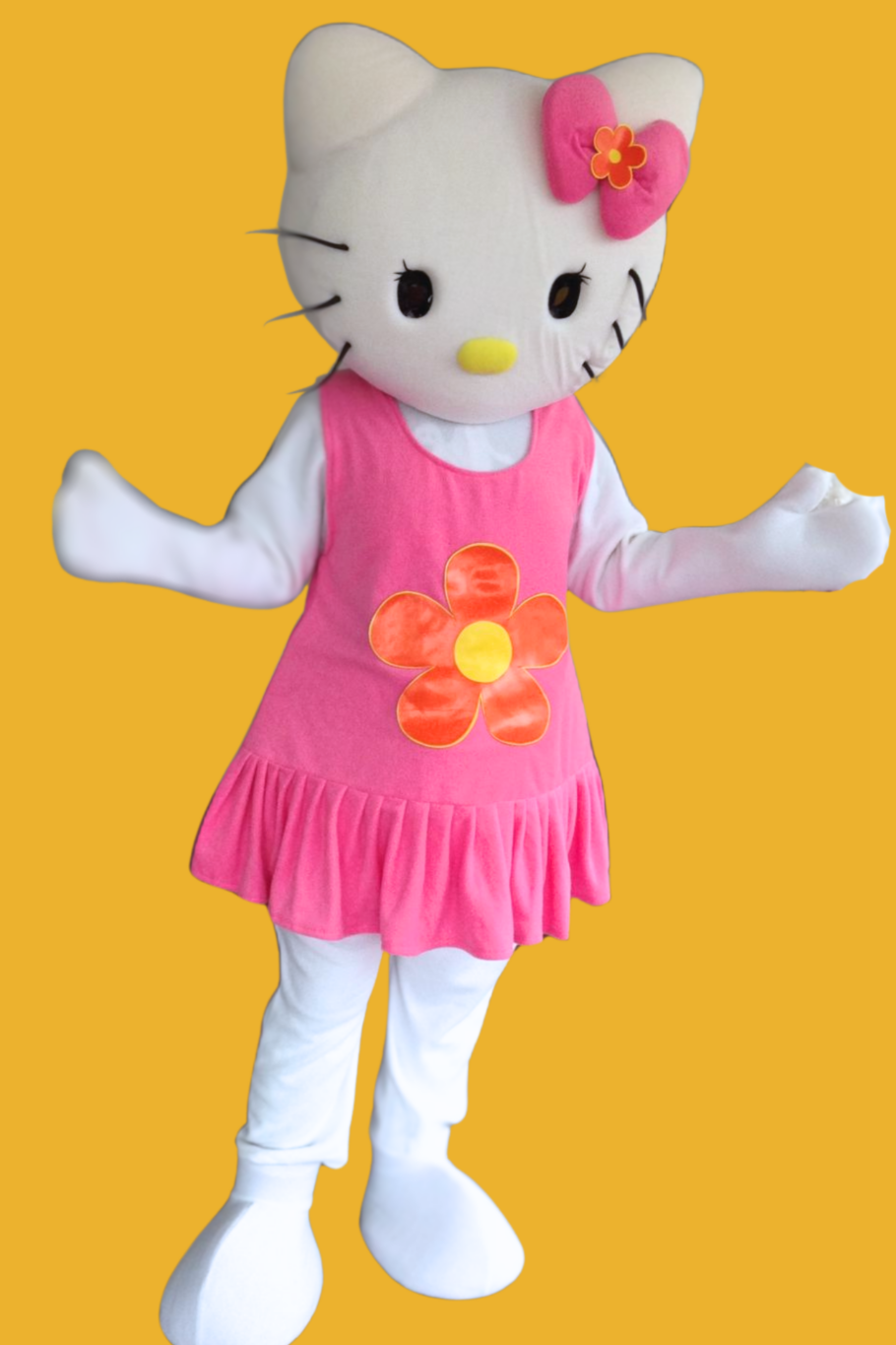 hello kitty party character for hire